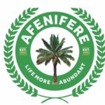 Afenifere faults Rivers emergency rule declaration, Afenifere differs with FG, Tinubu on LG autonomy, Afenifere faults Tinubu on, Edo election further exposes INEC's incompetence - Afenifere