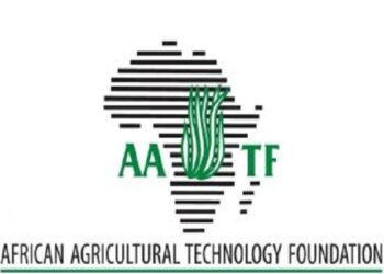 AATF begins training of 6000 cassava farmers A food-secured Africa AATF engages Emir of Rano on support for PBR bean launches handbook on