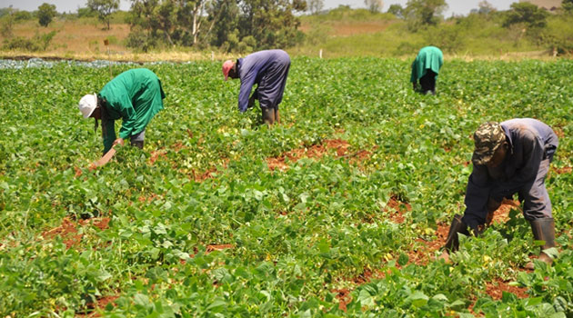 Farmers Oyo