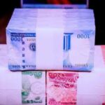 New naira notes