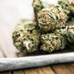 Can I try indian hemp?