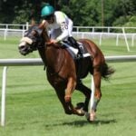 Horse Racing