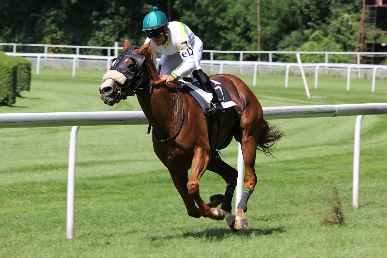 Horse Racing