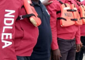 NDLEA