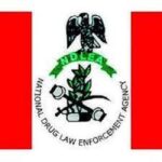 NDLEA arrests 75-year-old grandpa in Ekiti 70-year-old grandma in Benue for