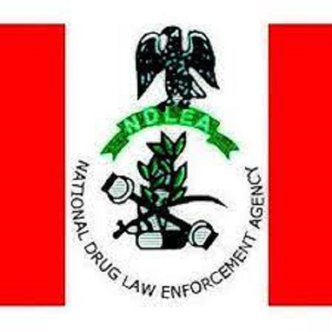 NDLEA arrests wanted kingpin, two others on London-bound shipment