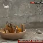Sacrifice Lagos polling