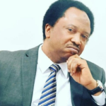 Shehu Sani