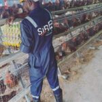 How Sir EJ Farms is boosting employment, local content in Nigeria