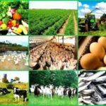 Agrofood conference meant to give stakeholders in agribusiness agribusiness