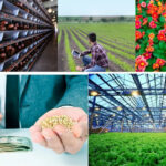 agribusiness