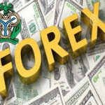 Forex crisis freight charges frustrating FG’s food Nigeria’s FX monetary environment, Nigeria’s FX monetary environment attracting investors into