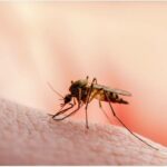 malaria hotspots in Akure