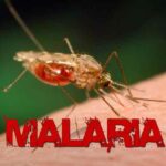 Malaria worse than presumed as women recount experiences Malaria Equity Women recount