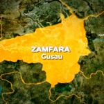 AGILE organises workshop, Immunisation Zamfara primary healthcare,