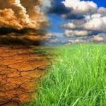 Experts advocate smart farming practices
