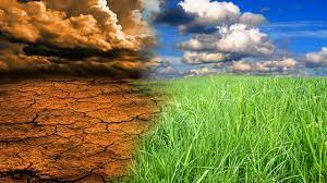 Experts advocate smart farming practices