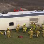 Bus crash
