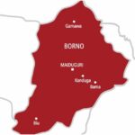 NAF airstrikes kill terrorists, Twin suicide bombings hit Gwoza kill 7 injure 16 others