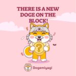 New Cryptocurrency DogeMiyagi And Bonafide Blockchain Avalanche Carry The Future Of Web3