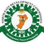 NEDC's projects in Borno, NEDC council