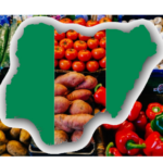 SSAUTHRIAI to FG Invest in agriculture to tackle food journalism micronutrients agric