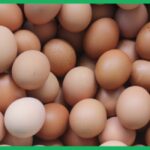 distribution trailer in Pennsylvania, eat two eggs daily, SAHL Emmppek FIPAN