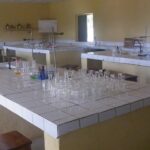 lab