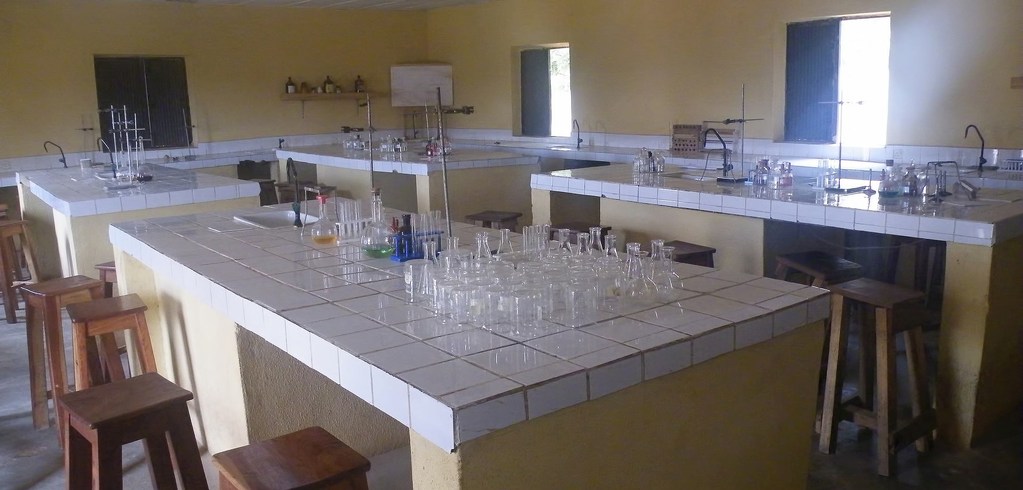 lab