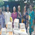 Lagos farmers