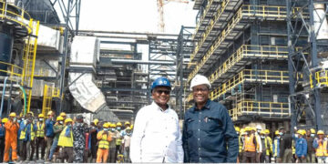 Subsidy Dangote Refinery fuel