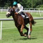 Horse racing brown horse