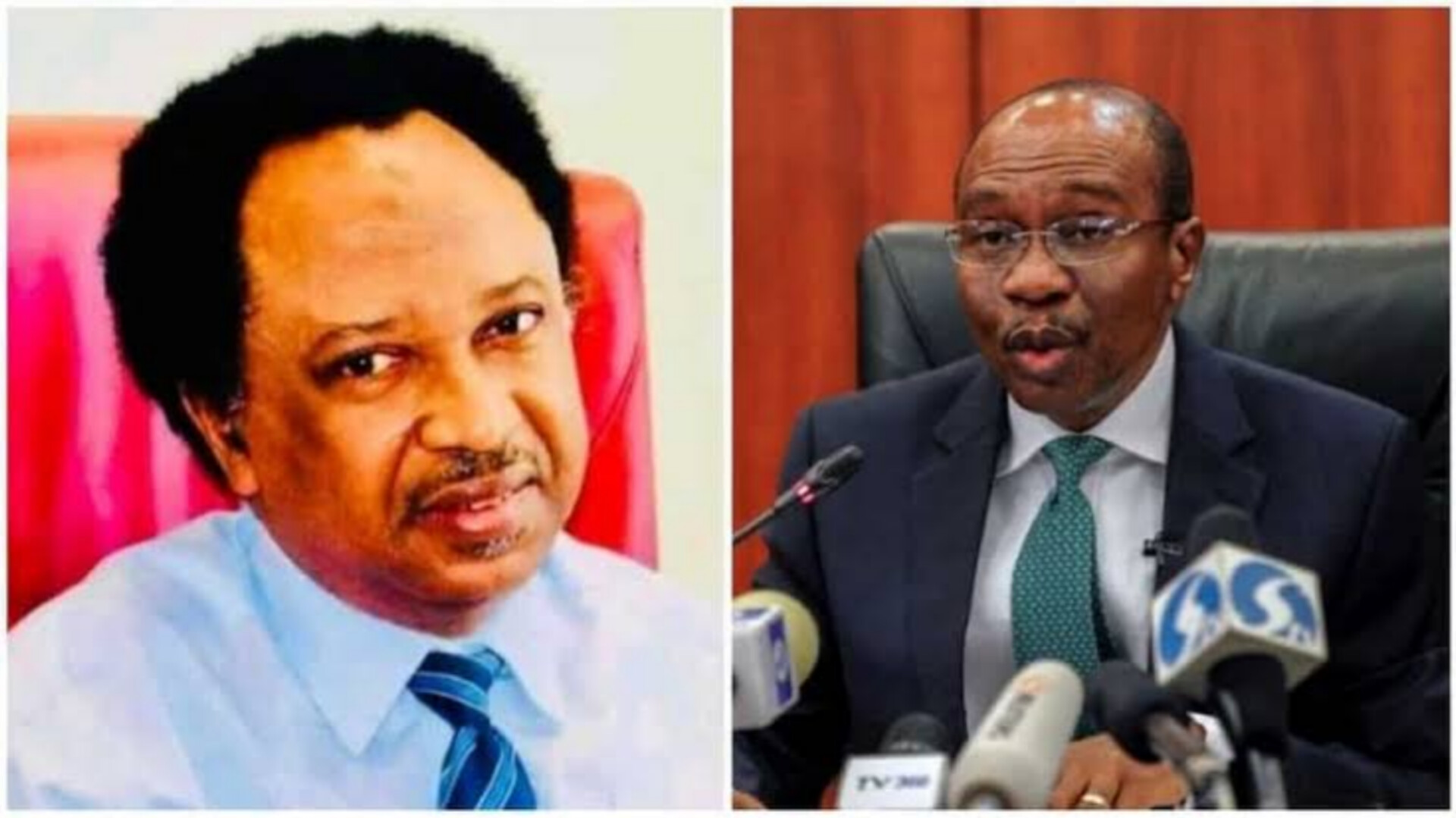 Shehu Sani reacts Emefiele