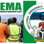 NEMA distributes 786.6 tonnes of grains in