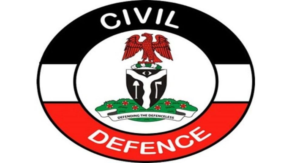 Niger NSCDC protest