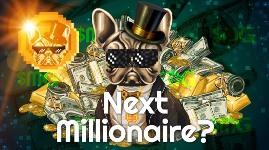 Next Millionaire