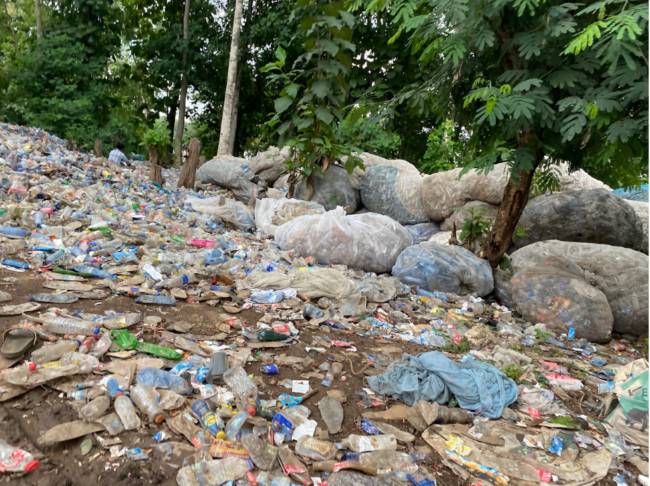 plastic pollution affect ecosystem at Eleyele River