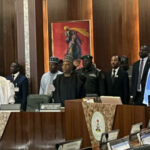 Tinubu governors