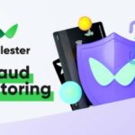 Wallester Fraud Monitoring