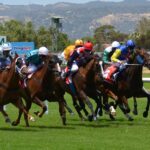 horse-racing