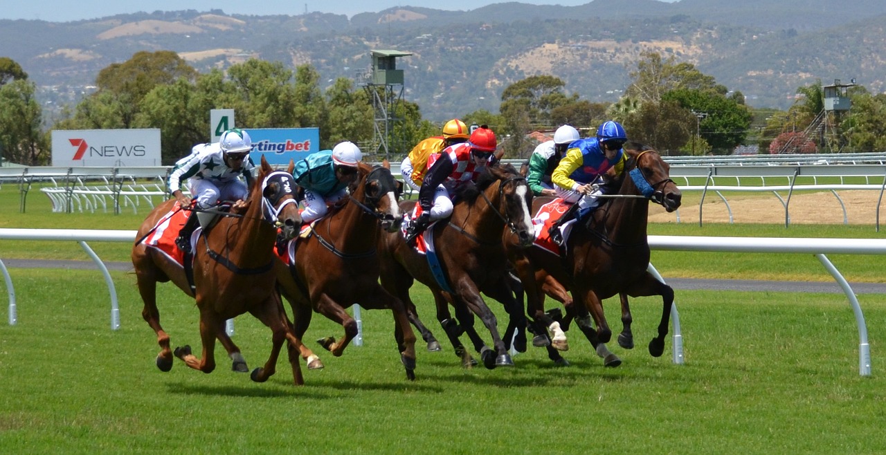 horse-racing