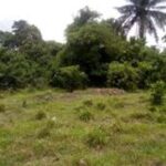 Land