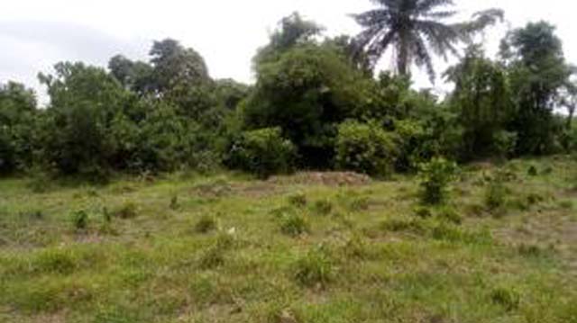 Land