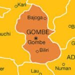 Gombe, Flood