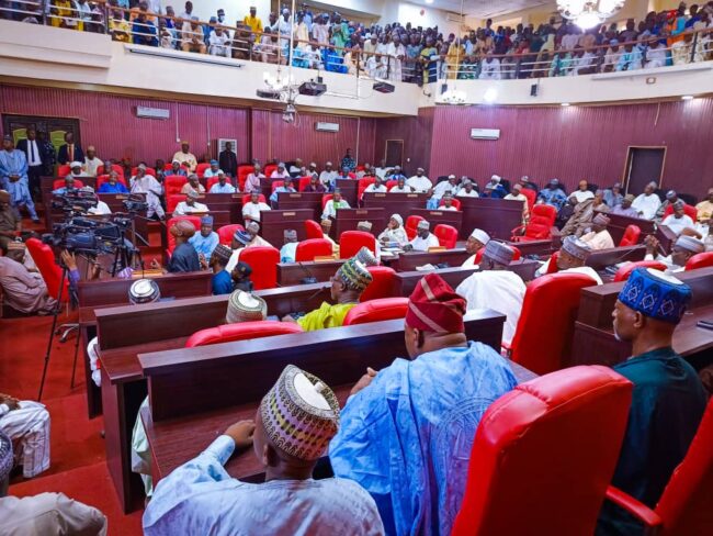 Kebbi Assembly member