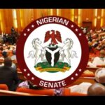 Senate passes early voting bill, Senate approves Tinubu's sack, Senate passes Kabba agric
