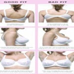 bra size