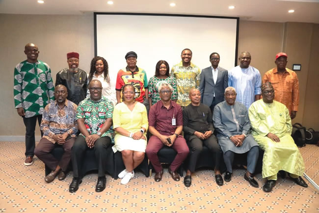 African Alliance