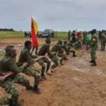 GOC