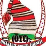 Ohanaeze against protest in South-East, Ohanaeze youths